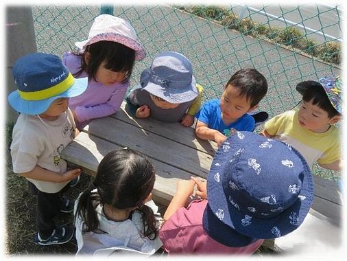 生き物は保育者一人分