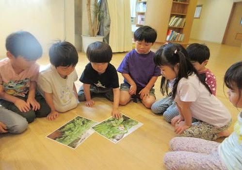 チャレンジがじゃがいも掘りに行ってきました！