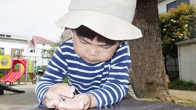 春の自然物に触れて遊ぼう！