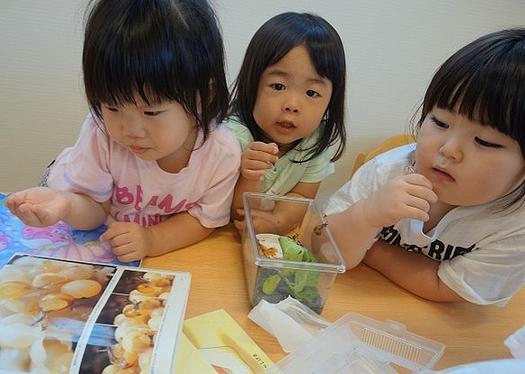 この度カタツムリ事ではございますが、、。