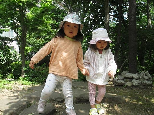 小杉③.jpg