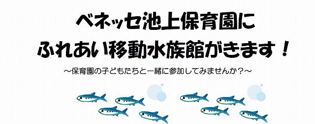 ふれあい移動水族館が来ます！🐟🦀🐢