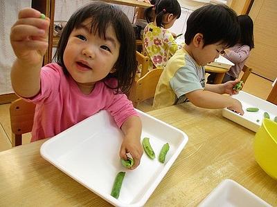 お豆コロコロするね　小さいね