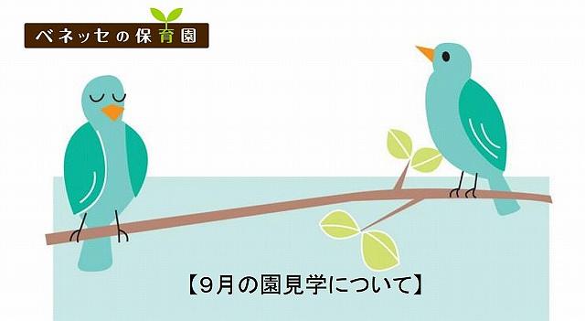 👒９月の園見学について👒石神井公園保育園