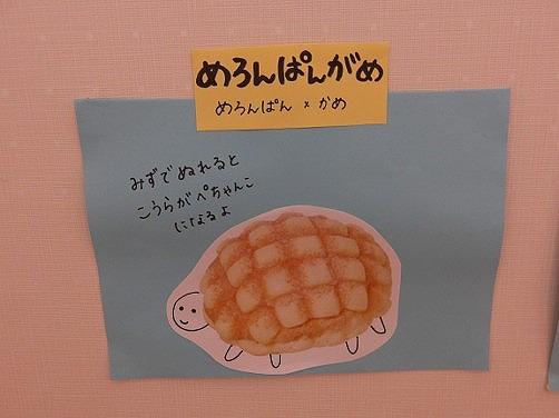 カメとの出会いから~VERYCIOUS第2弾~