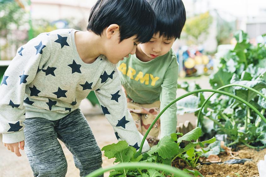 ベネッセ 日吉保育園