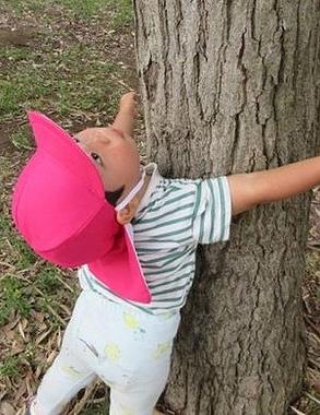 大きな木の下で