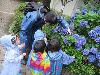 サーチャー(2歳児)クラス・ワクワクの雨の日散歩