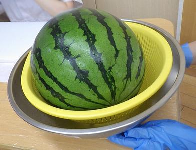 🍉おいしかったね！すいかパーティー🍉