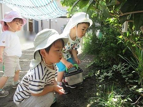 ダンゴムシを捕まえるためには…
