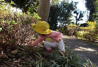 どんぐりコロコロ～