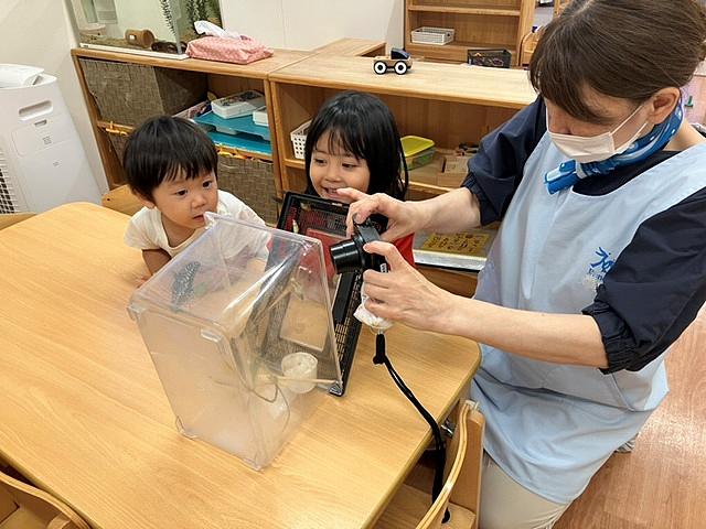 画像6.jpg