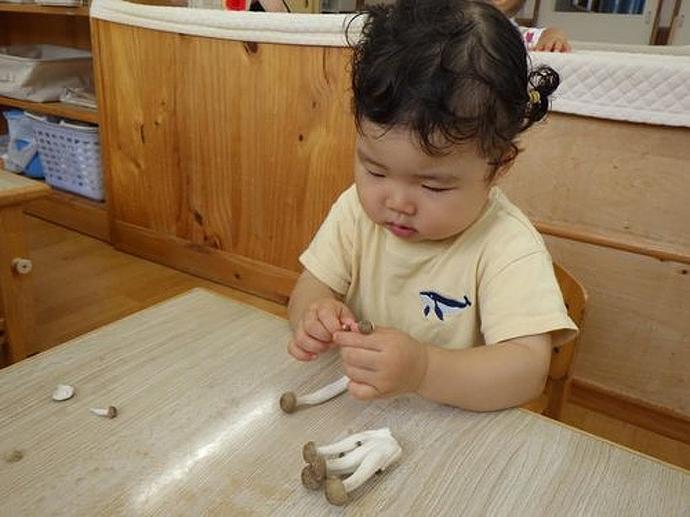 画像24.jpg