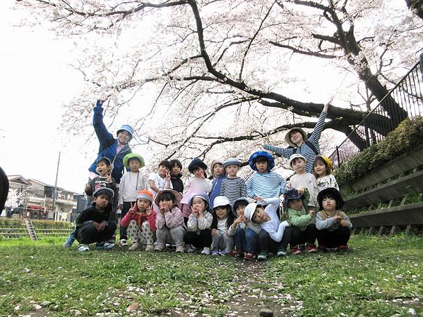 野川桜並木のトンネルで春を満喫してきたよ！！