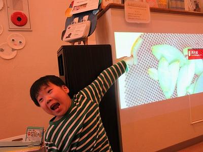 どんな虫がいる？