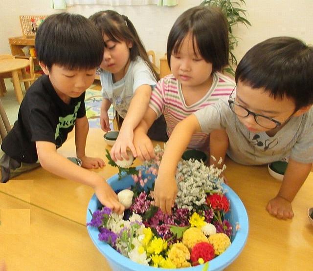 矢向①.jpg
