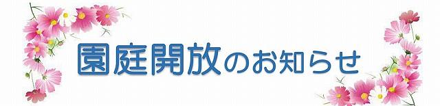 🍂9月の園庭開放のお知らせ　ぜひ遊びに来てください🍂