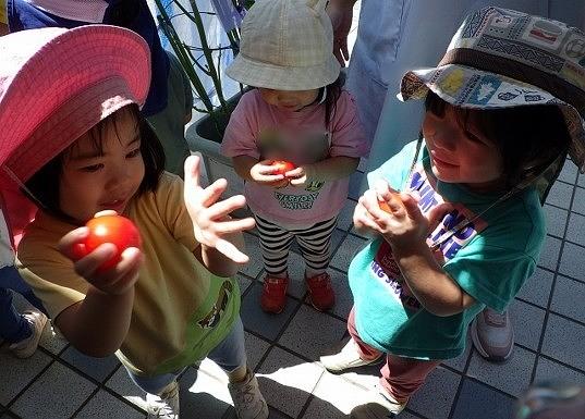 画像10.jpg
