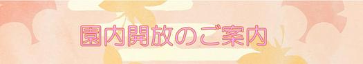 11/26（木）🍁園庭解放のご案内