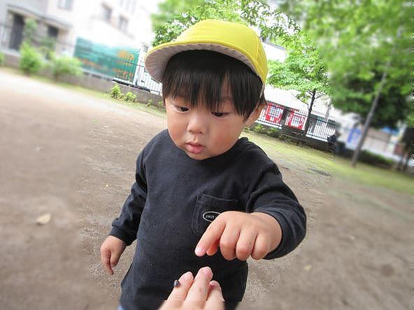 自然との出会い