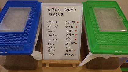 画像1.jpg