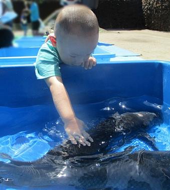 移動水族館　みて・ふれて・まなぶ！