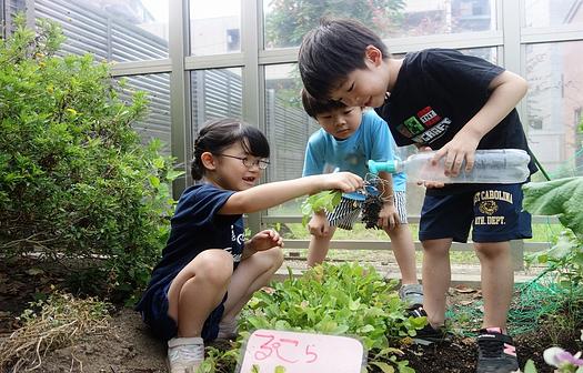自産自消～自分で作って自分で食べよう～