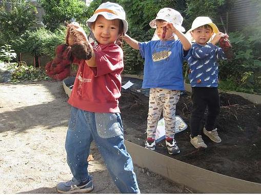 さつまいも収穫祭 ①