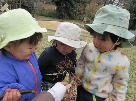 こんなところにいた