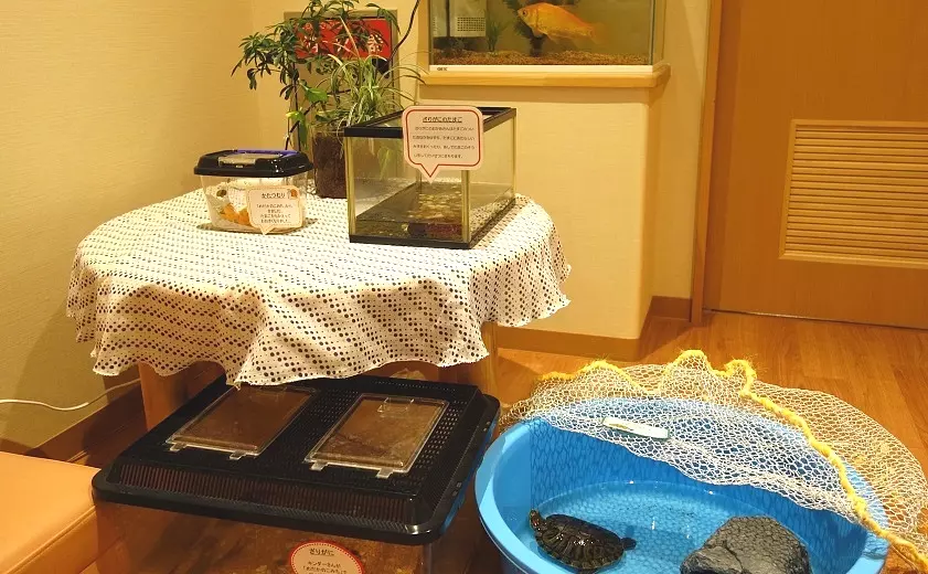 ベネッセ 四ツ木保育園の外観