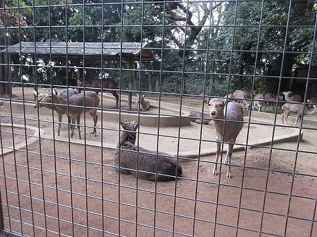 アクティブ遠足