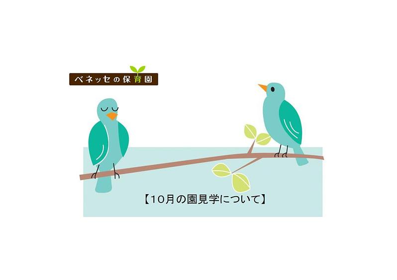 👒１０ 月の園見学について 👒