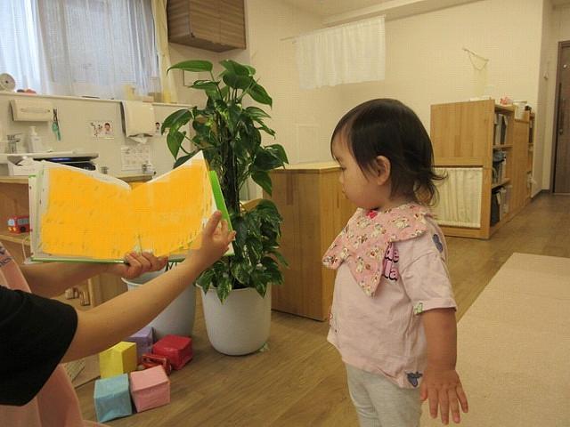図2.jpg