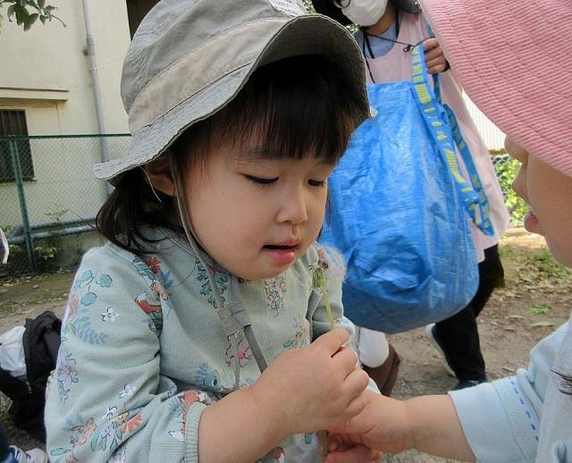 せーの、ふーーっ！！