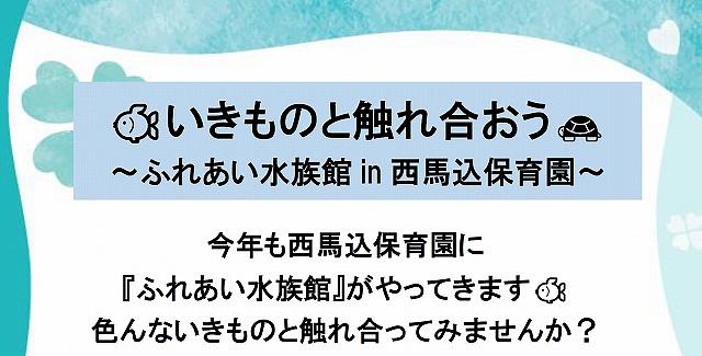 🐟いきものと触れ合おう🐢～ふれあい水族館 in 西馬込保育園～