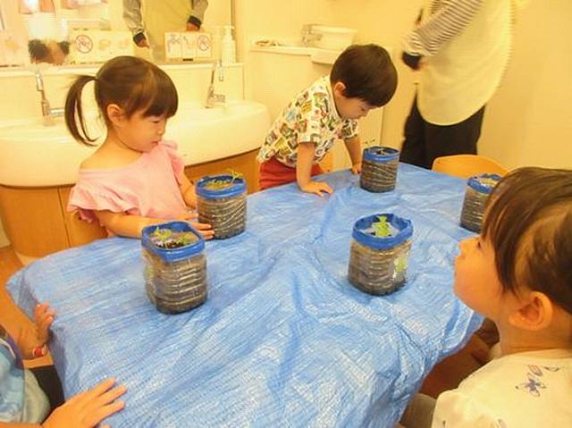 画像8.jpg