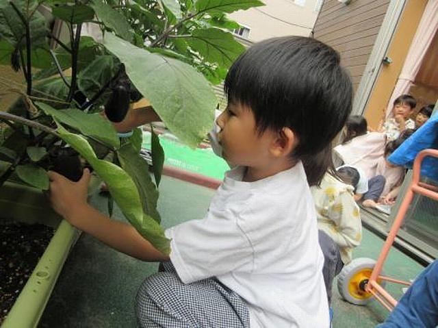 【機密HRC-P】菊川_幼児_②_014.jpg