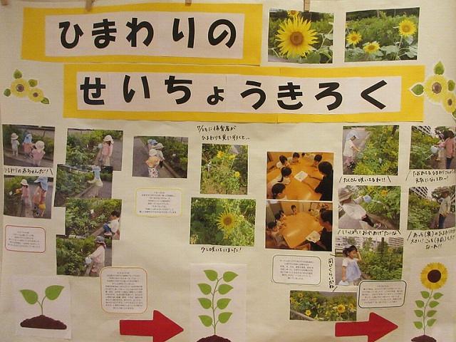 溝ノグチ①.jpg