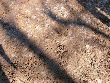 氷実験レポートNo．１