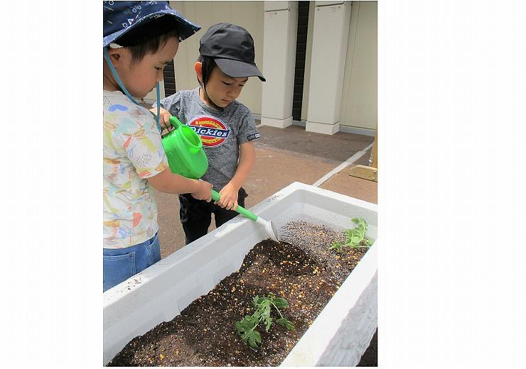 ベネッセ 桜新町保育園