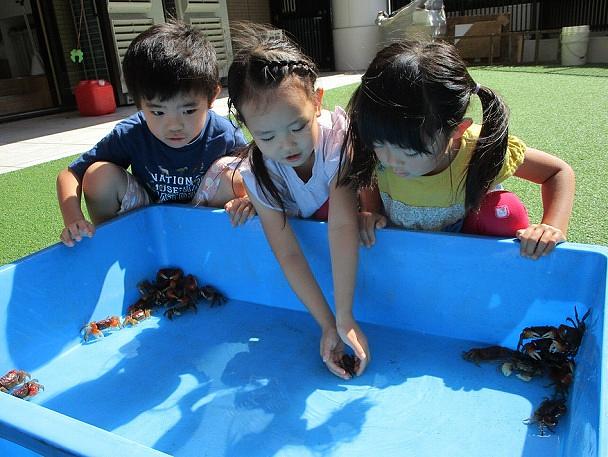 ふれあい水族館